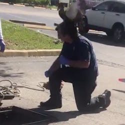 A mother duck attacks a Lauderhill, FL, firefighter as he tries to rescue her four babies from the drain they were trapped in. A mother duck attacks a Lauderhill, FL, firefighter as he tries to rescue her four babies from the drain they were trapped in.
