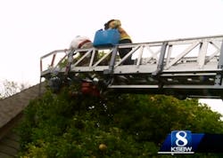 Animal Rescue 5d32900297aee Animal Rescue 5d32900297aee