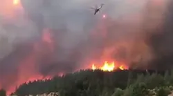 A Dunsmuir, CA, was sentenced to probation and fined for threatening to shoot down firefighting helicopters deployed during last year's Delta Fire.