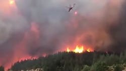 A Dunsmuir, CA, was sentenced to probation and fined for threatening to shoot down firefighting helicopters deployed during last year&apos;s Delta Fire.