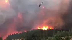 A Dunsmuir, CA, was sentenced to probation and fined for threatening to shoot down firefighting helicopters deployed during last year's Delta Fire.