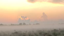 Angels 5d7eb3e961637 Angels 5d7eb3e961637