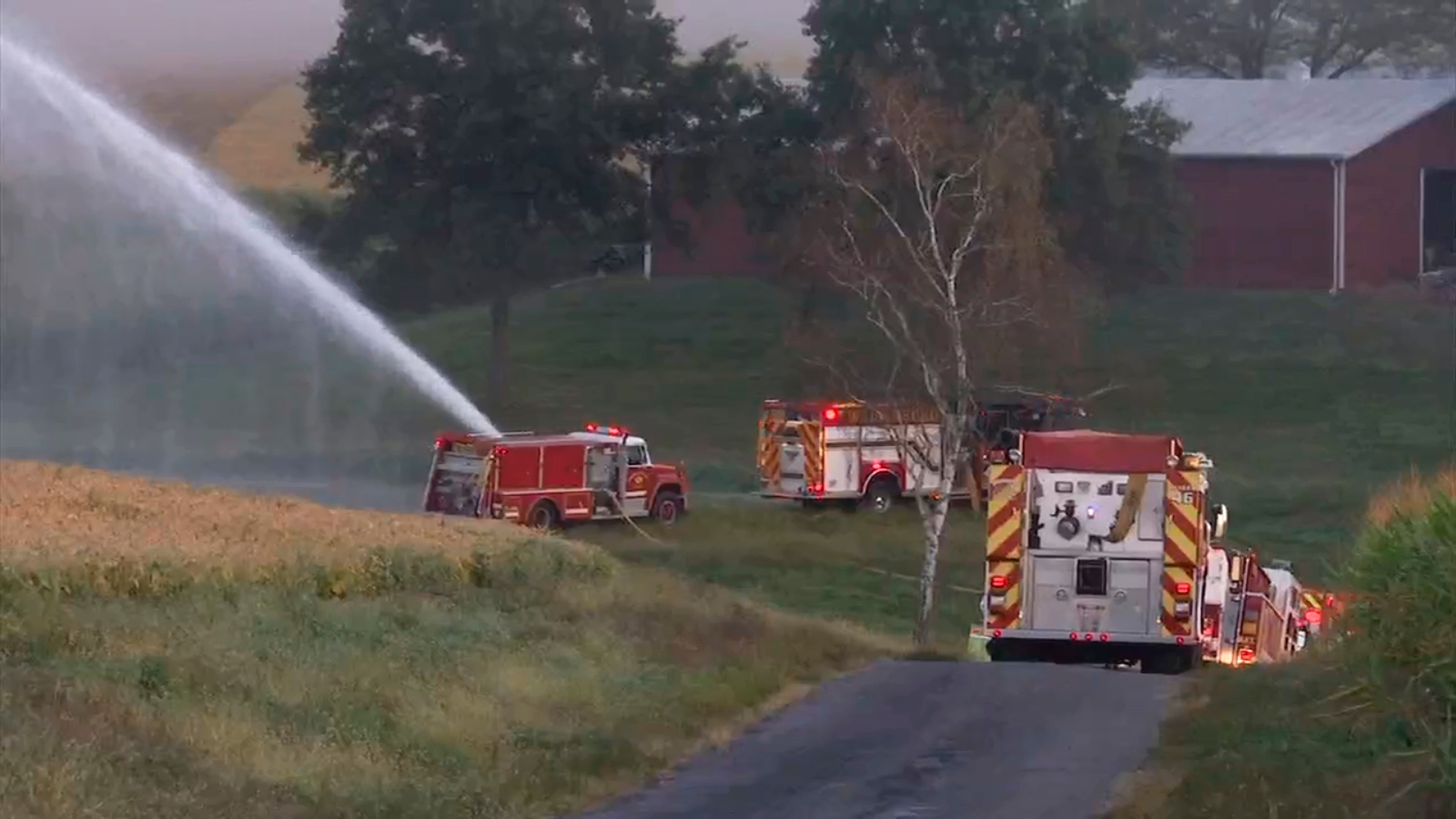 Pig Farm Fire 2 5d876d31c4191