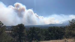 U.S. Forest Service officials pulled back more than 750 firefighters Sunday after the Decker wildfire just south of Salida, CO, flared up.