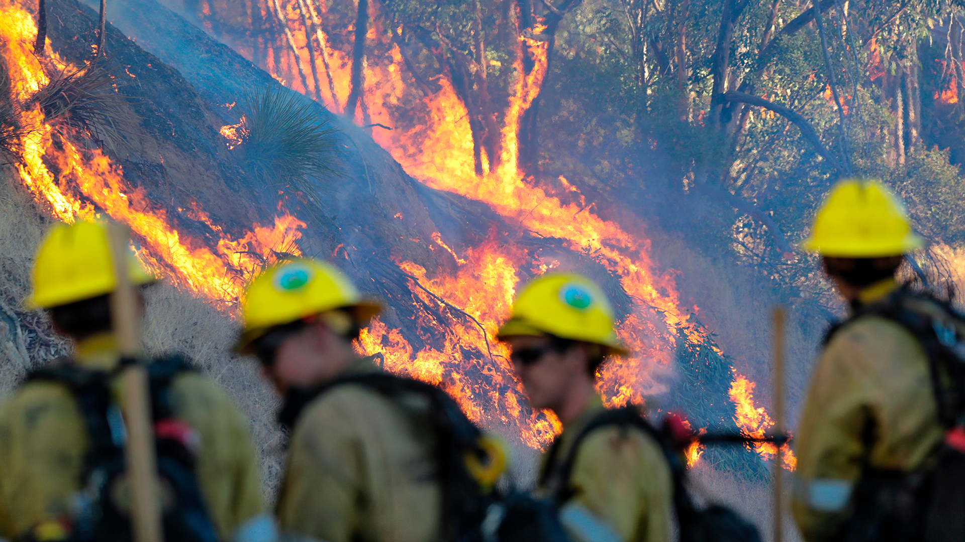 Firefighters keep an eye on the wildfire burning behind Olive View Medical Center in Sylmar, CA.