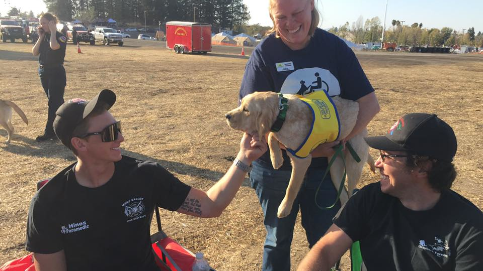 Firefighters battling California Kincade wildfire were visited at base camp by dogs from Canine Companions of Independence on Thursday.