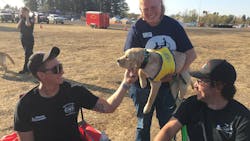 Firefighters battling California Kincade wildfire were visited at base camp by dogs from Canine Companions of Independence on Thursday.
