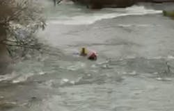 Niagara Falls, NY, firefighters and police pulled a man from fast-moving rapids before he reached the waterfall Thursday.
