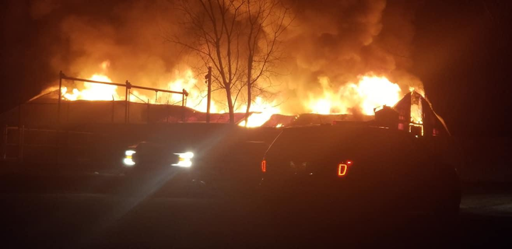 Three bongos, three giraffes, three red river hogs and a springbok were killed in the Thanksgiving night fire.