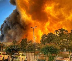 Ozzie 5dc6f374a0287 Ozzie 5dc6f374a0287