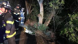 San Jose firefighters stand at the top of a ravine during rescue operations after a driver plummeted nearly 100 feet into a creek on Thursday, Dec. 19, 2019. San Jose firefighters stand at the top of a ravine during rescue operations after a driver plummeted nearly 100 feet into a creek on Thursday, Dec. 19, 2019.