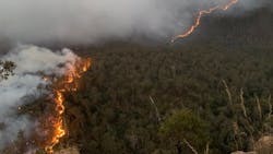 Ozzie2 5dfb9007bcc70 Ozzie2 5dfb9007bcc70