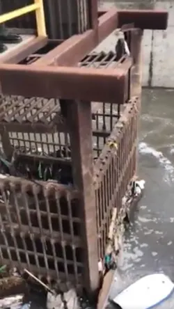 San Diego firefighters helped rescue three men and two women from a flooded drainage pipe near the U.S.-Mexico border Monday. San Diego firefighters helped rescue three men and two women from a flooded drainage pipe near the U.S.-Mexico border Monday.