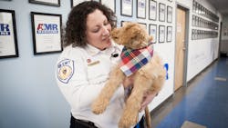 American Medical Response, a provider of medical transportation services in the U.S. added a special employee to its Springfield, MA, staff this week. Freddie, an emotional support and therapy dog and colleague operations supervisor Melissa Piscitelli.