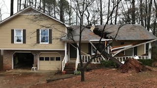 A fallen tree damaged a house in Madison, AL, as severe weather moved through the South and the Midwest over the weekend.