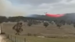 New South Wales Air Tanker Crash (au)