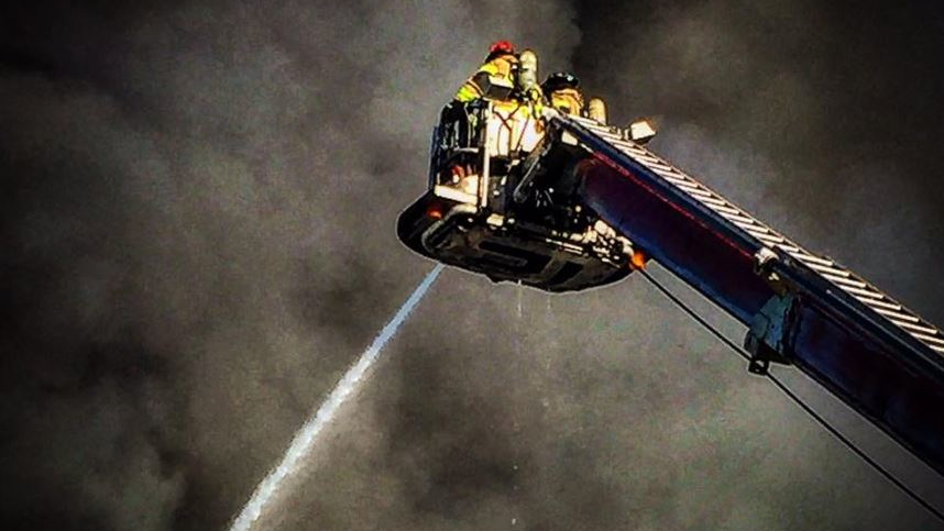 Reliance 5e25b143c6fb2