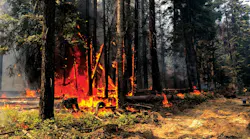 Back-burning helps to slow down a wildland fire, but it’s very technical and only should be done by those who have training in the tactic. Photos by Mihku Sabattus