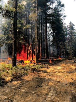 Back-burning helps to slow down a wildland fire, but it’s very technical and only should be done by those who have training in the tactic. Photos by Mihku Sabattus Back-burning helps to slow down a wildland fire, but it’s very technical and only should be done by those who have training in the tactic. Photos by Mihku Sabattus