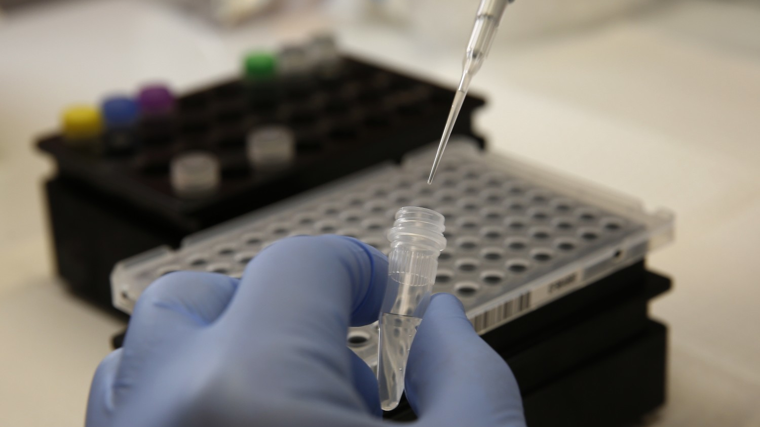 Brian Bowland, senior clinical lab specialist in microbiology in the UCLA Health System, is pipetting a master mix for testing of the COVID-19 coronavirus as the University of California's five medical centers are gearing up to expand their own in-house testing for the coronavirus in a move to bypass obstacles that have stymied a rapid response to the global pandemic.