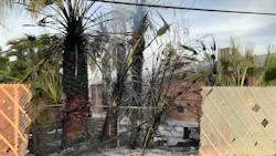 Las Vegas firefighters put out several palm trees that caught fire and spread to a nearby apartment building Monday.