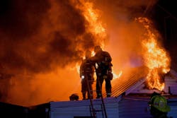 2019 Combo Run Survey 5e736b946a937 2019 Combo Run Survey 5e736b946a937