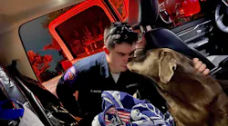 Arlington, TX, firefighters rescued Ranger, a 2-year-old Labrador who fell 25 feet into a septic tank Wednesday night.