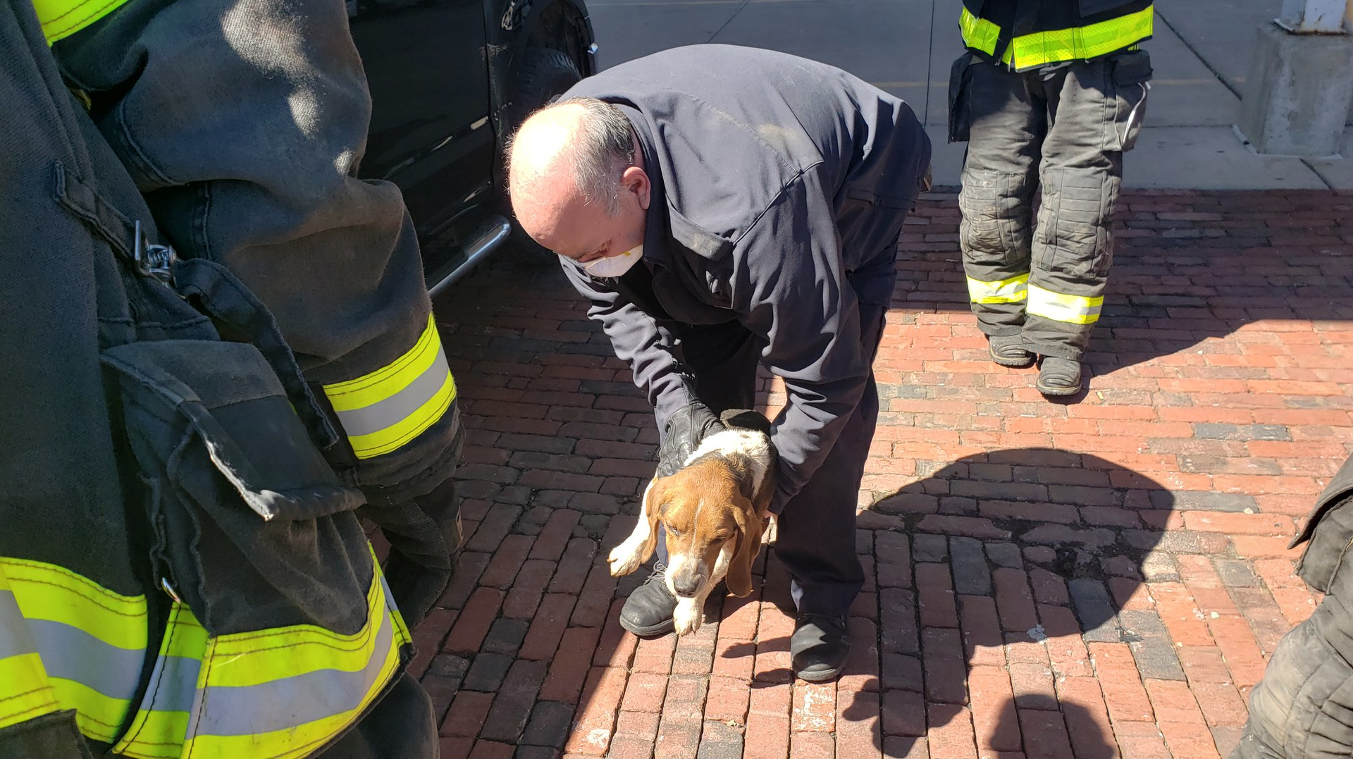 Rochester, NY, firefighters rescued Zeke, a 2-year-old Beagle, after the dog was trapped under his owner's pickup truck for a 40-mile ride Thursday.