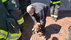 Rochester, NY, firefighters rescued Zeke, a 2-year-old Beagle, after the dog was trapped under his owner&apos;s pickup truck for a 40-mile ride Thursday.