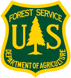 Forest 5e8f7a9400b17 Forest 5e8f7a9400b17