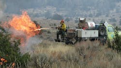 Bureau of Land Management, Nevada firefighters burn brush to reduce fuel loads.