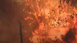 At least 500 people have been evacuated and 18 homes destroyed as a raging wildfire moves through Santa Rosa County in the Florida Panhandle.
