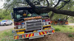 Pedernales Engine 801 crashed into a tree Saturday.