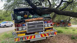 Pedernales Engine 801 crashed into a tree Saturday.
