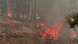 The COVID-19 pandemic has created a &apos;cascading impact&apos; for New Mexico firefighters battling wildland blazes around the state, a forestry official said.