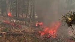 The COVID-19 pandemic has created a 'cascading impact' for New Mexico firefighters battling wildland blazes around the state, a forestry official said. The COVID-19 pandemic has created a 'cascading impact' for New Mexico firefighters battling wildland blazes around the state, a forestry official said.