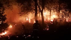 More than 50 Oakland, CA, firefighters extinguished a vegetation blaze caused by illegal fireworks early Sunday. More than 50 Oakland, CA, firefighters extinguished a vegetation blaze caused by illegal fireworks early Sunday.