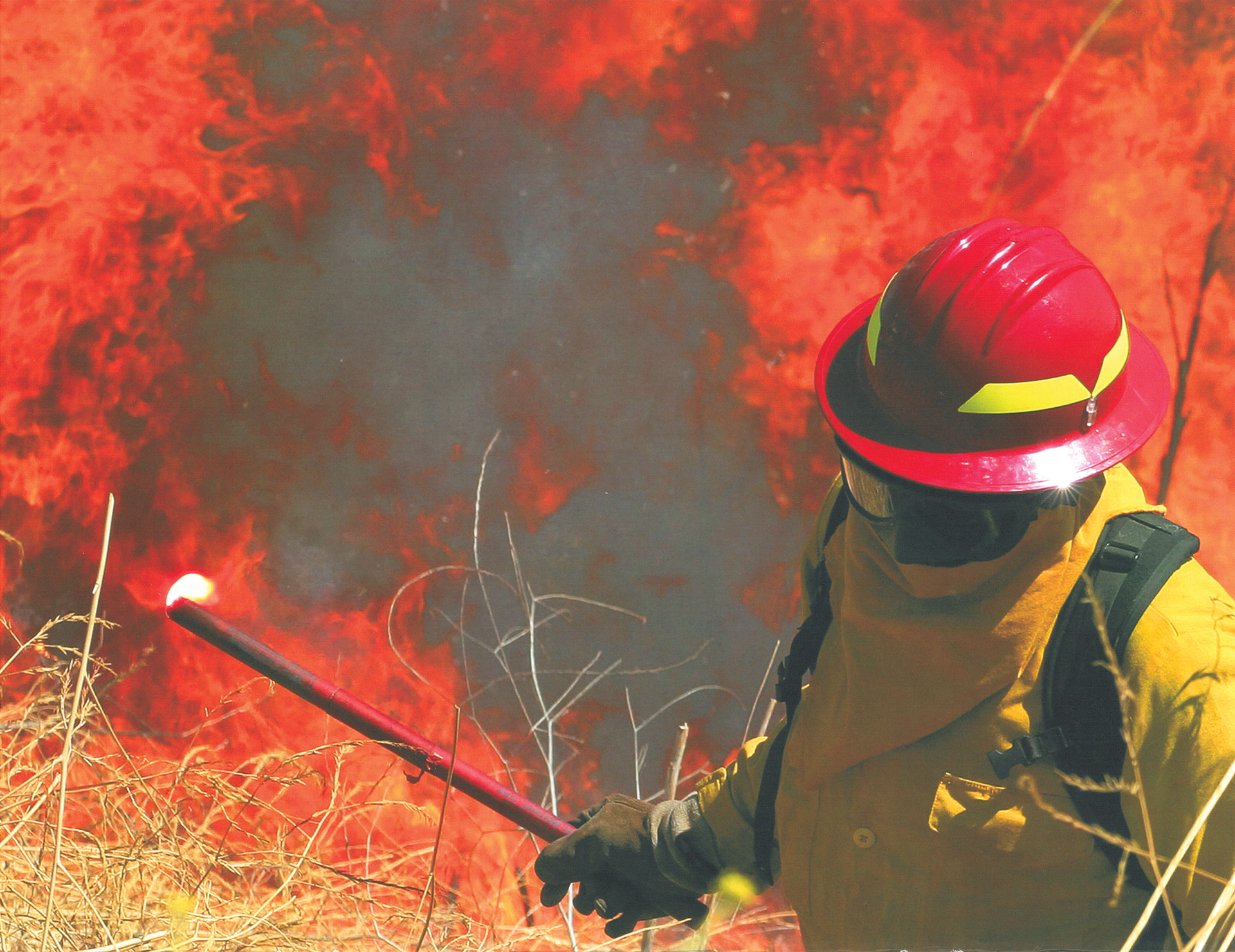 Bullard Wildland Action