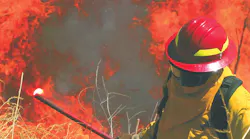 Bullard Wildland Action