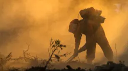 As California enters a potentially dangerous fire season, COVID-19 pandemic has depleted the ranks of a key component to the state's efforts to battle out-of-control wildfires: inmate firefighters.