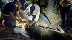 West Metro firefighters and Colorado Parks and Wildlife officers pulled down a bear that had climbed a tree in a residential neighborhood and became stuck after being tranquilized Saturday.
