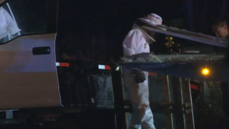 Firefighters and paramedics were swarmed by bees after a truck carrying more than 50 boxes of the insects was struck by an SUV in Gloucester County, NJ, early Sunday.