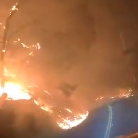 Raw video from the CZU Lightning Complex in Santa Cruz County, CA, captured a firefighter's drive through a raging wildfire along Highway 236 in Big Basin Redwoods State Park on Aug. 18.