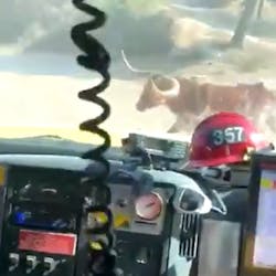 Bull 5f37fed3165f8 Bull 5f37fed3165f8