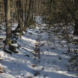 Footprints line a snow-covered trail in this 2016 photo taken at Sleeping Giant State Park in Connecticut, where calls for hiker rescues have doubled since pandemic stay-at-home orders were implemented.