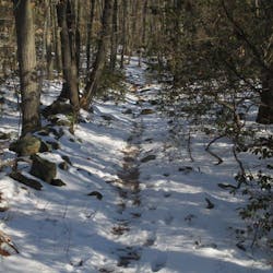 Footprints line a snow-covered trail in this 2016 photo taken at Sleeping Giant State Park in Connecticut, where calls for hiker rescues have doubled since pandemic stay-at-home orders were implemented. Footprints line a snow-covered trail in this 2016 photo taken at Sleeping Giant State Park in Connecticut, where calls for hiker rescues have doubled since pandemic stay-at-home orders were implemented.