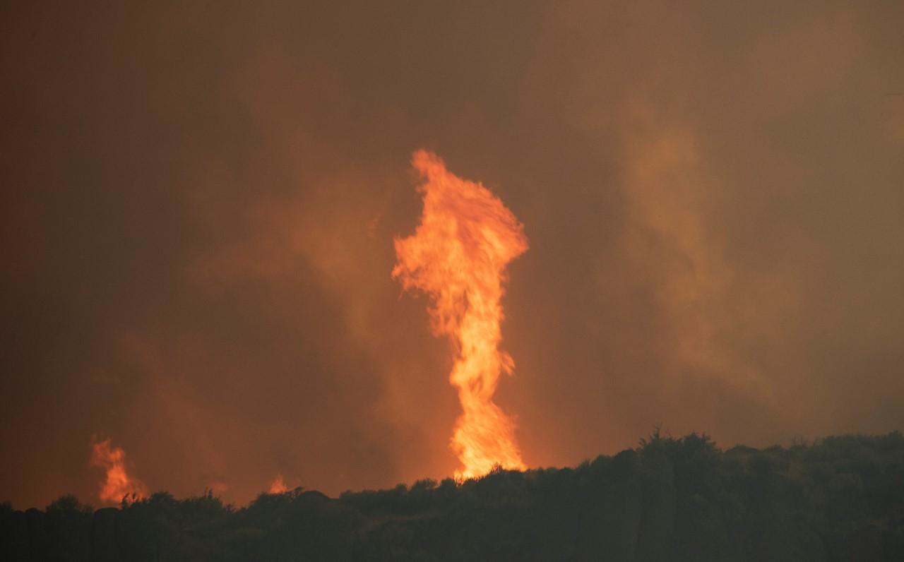 Vandals caused $10,000 worth of damage to firefighting machinery assigned to the Badger Fire in Idaho's Sawtooth National Forest.