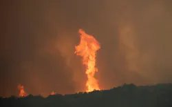 Vandals caused $10,000 worth of damage to firefighting machinery assigned to the Badger Fire in Idaho's Sawtooth National Forest. Vandals caused $10,000 worth of damage to firefighting machinery assigned to the Badger Fire in Idaho's Sawtooth National Forest.