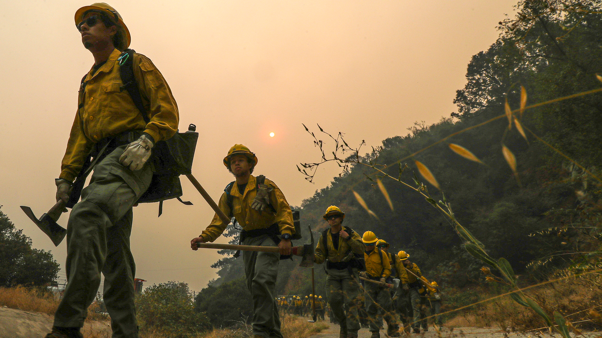 Bobcat Fire Firefighters (ca)