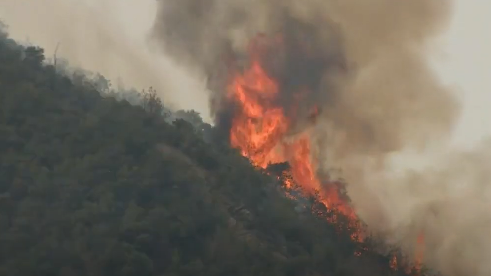 An unnamed firefighter was killed battling the El Dorado Fire in San Bernardino County, CA, according to the U.S. Forest Service.
